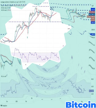 Cena bitcoin usd