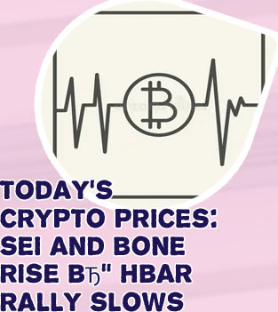 Pulse crypto price