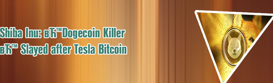 Shiba cookies crypto