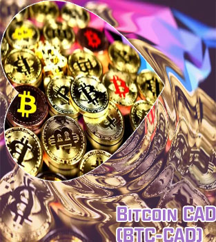 Valeur bitcoin